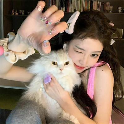 猪太狼的夏天